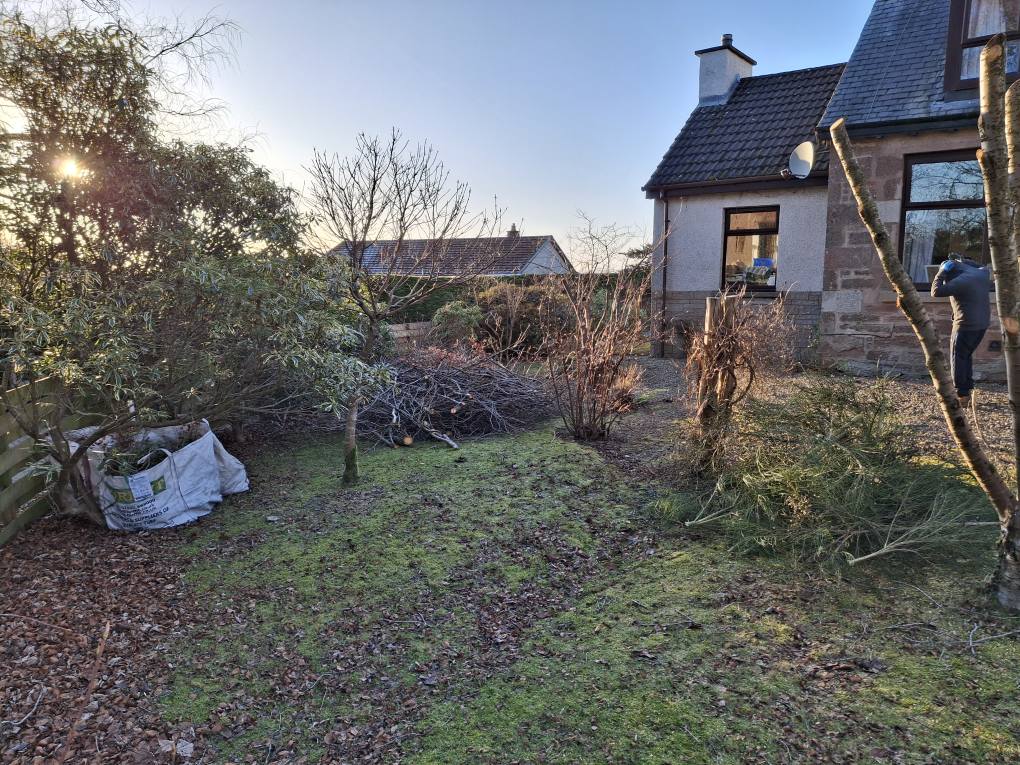 clearing garden
